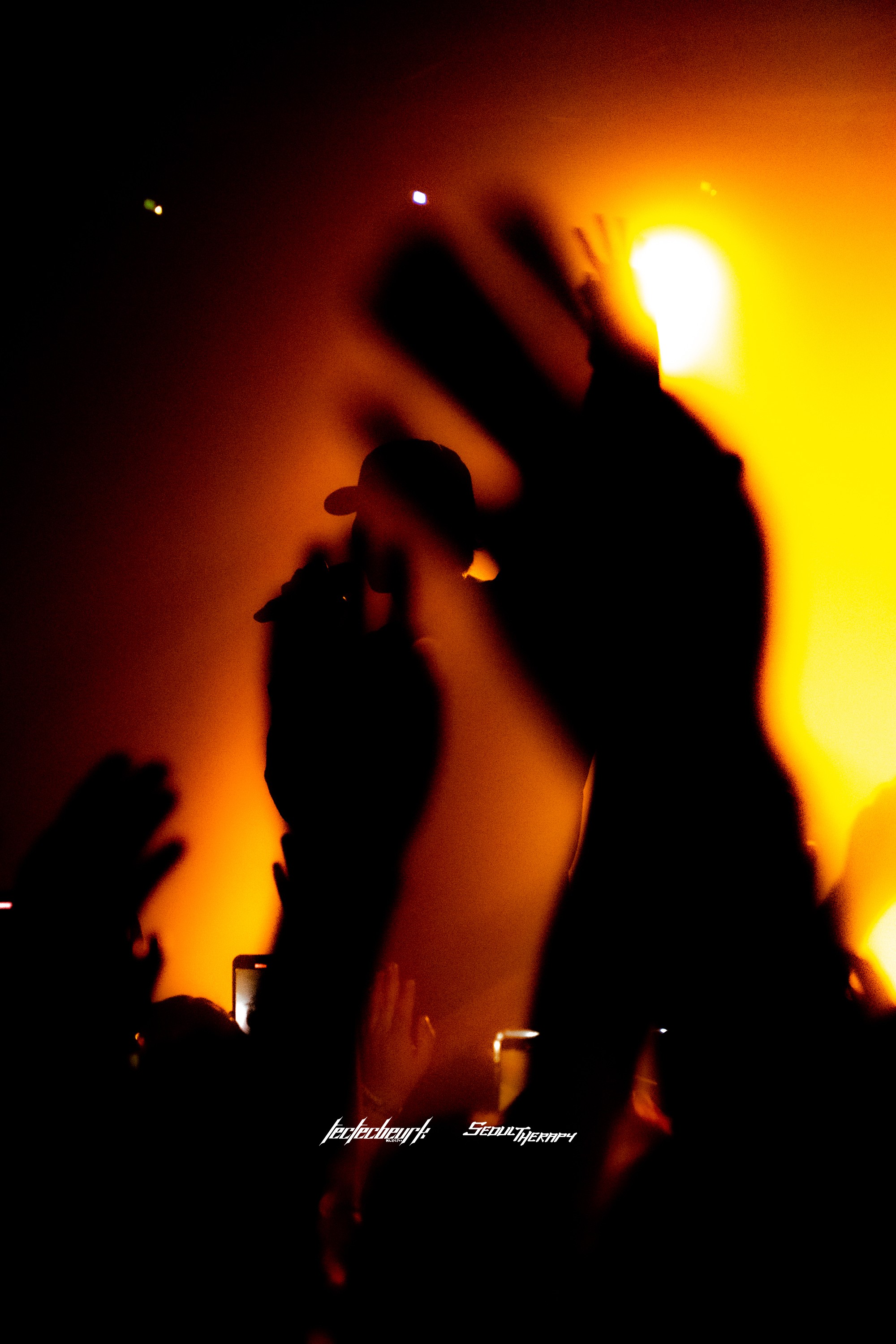 PHOTO CONCERT